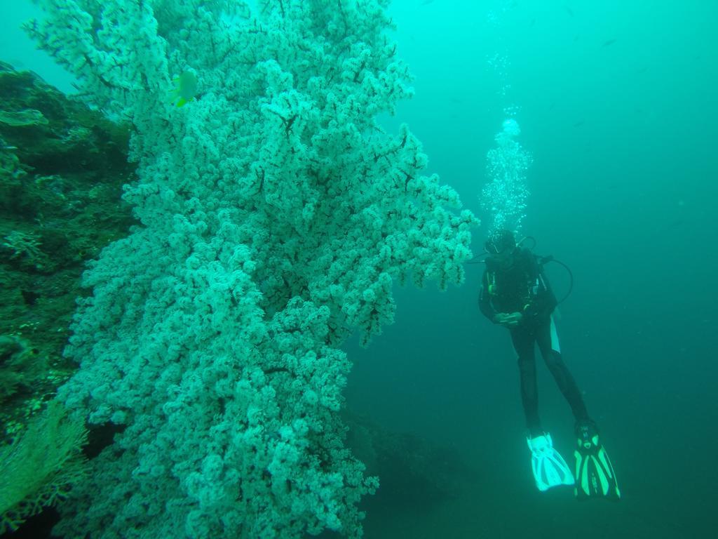 Ocean View Tulamben Dive & Resort Экстерьер фото