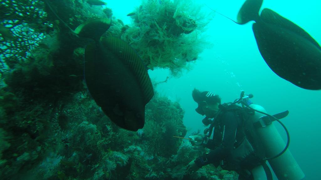 Ocean View Tulamben Dive & Resort Экстерьер фото